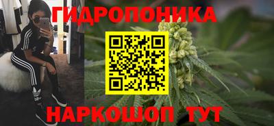 стафф Можга