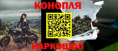 стафф Можга