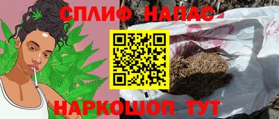 стафф Можга