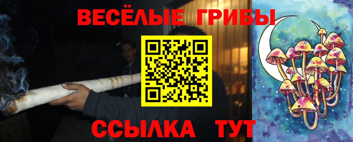 Галлюциногенные грибы Cubensis  Вход с VPN  купить наркотики сайты  Тихорецк 
